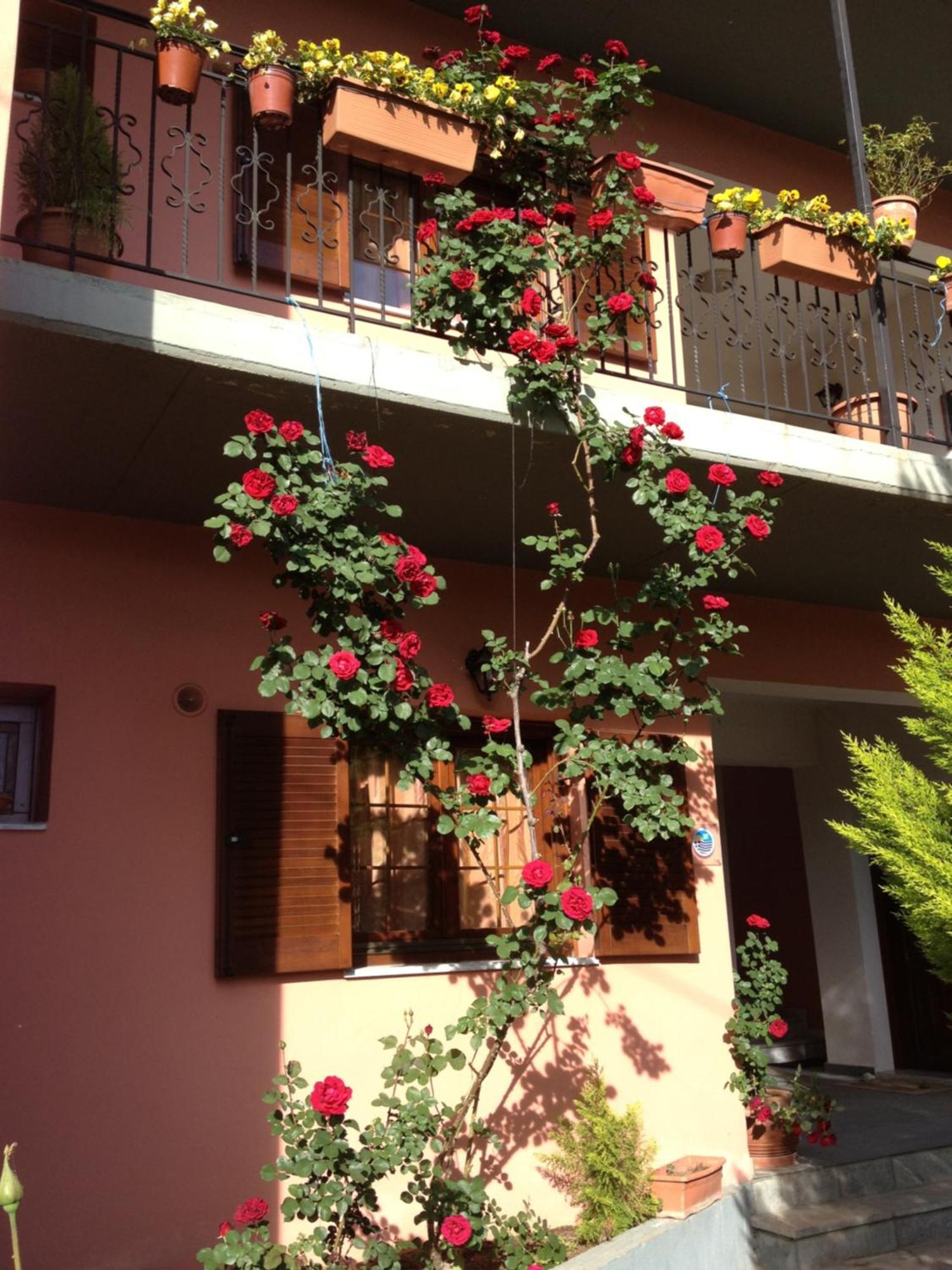 Artemis Apartments โคนิทซา ภายนอก รูปภาพ