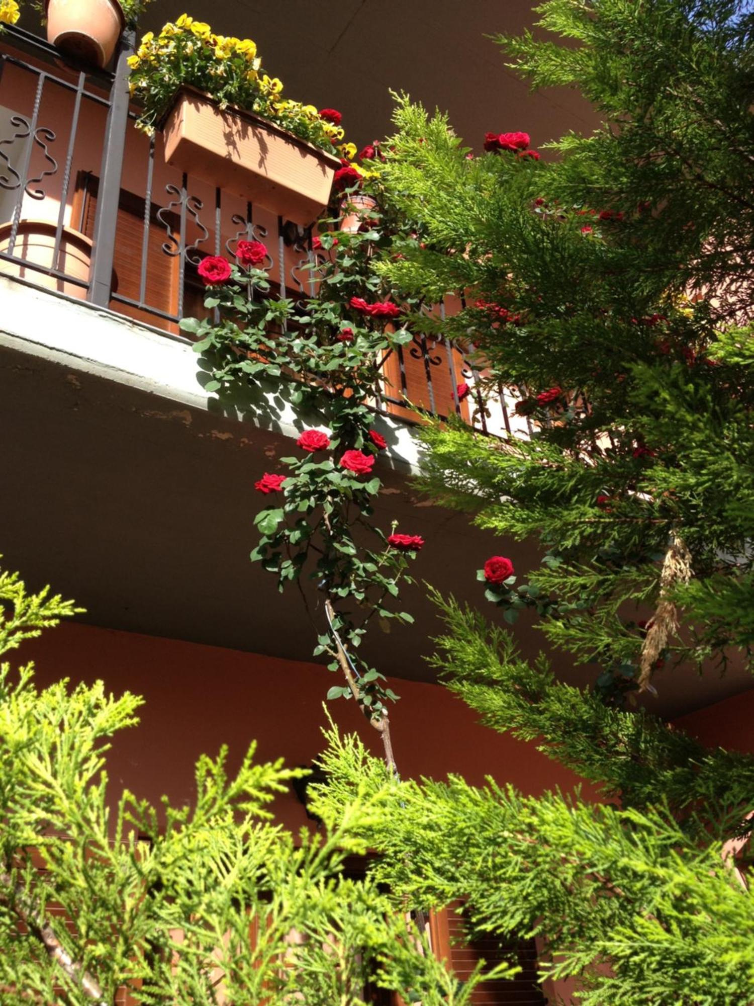 Artemis Apartments โคนิทซา ภายนอก รูปภาพ
