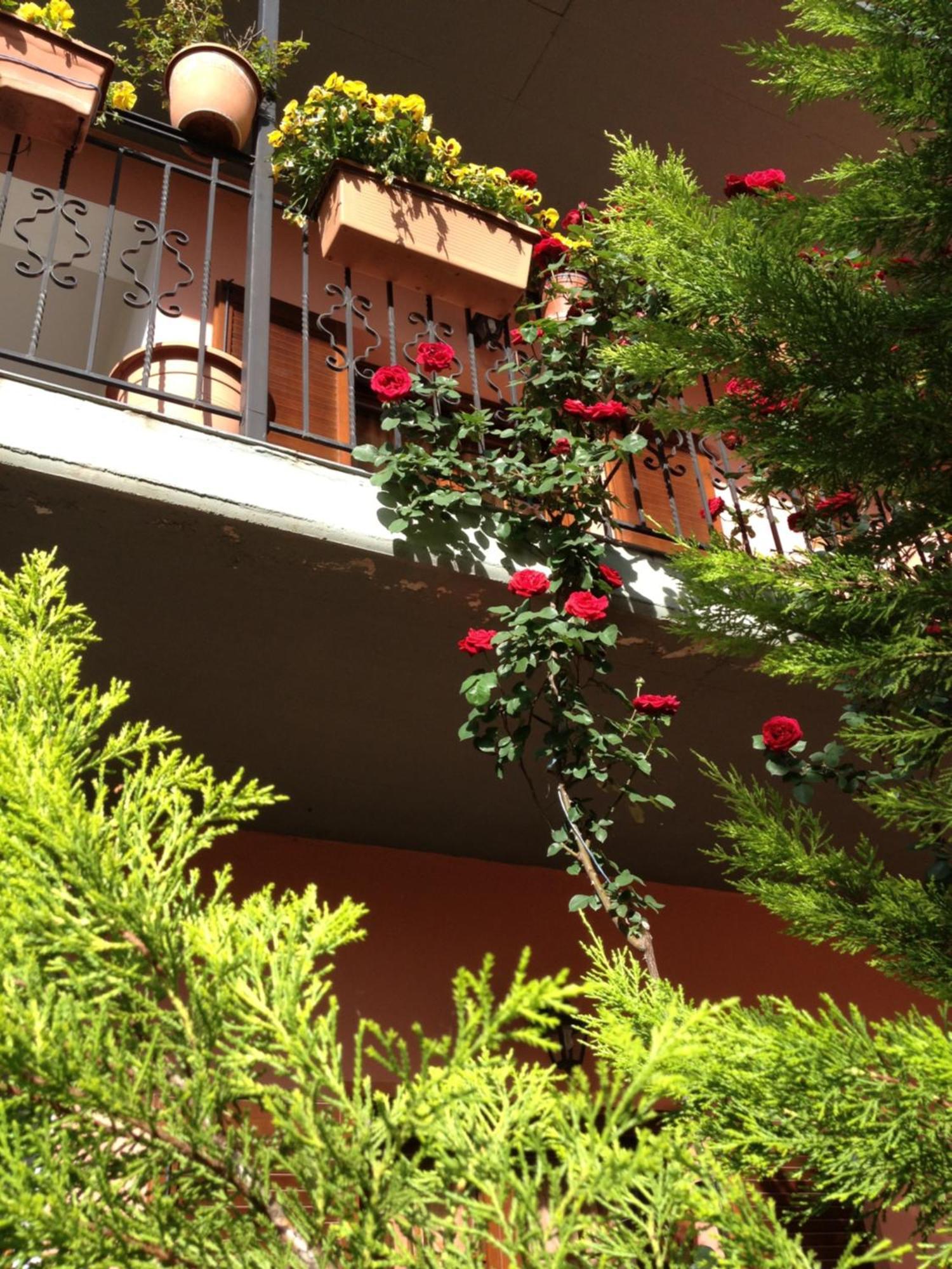 Artemis Apartments โคนิทซา ภายนอก รูปภาพ